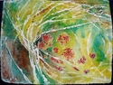Gail Bracegirdle - Escape