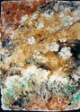 Lichen (thumbnail)