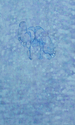 Winter%20Dip (thumbnail)
