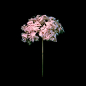 Float (thumbnail)