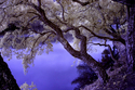 Overhang (thumbnail)