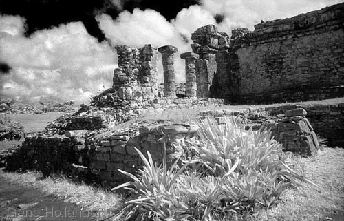 Photography-Architecture-House of the Columns