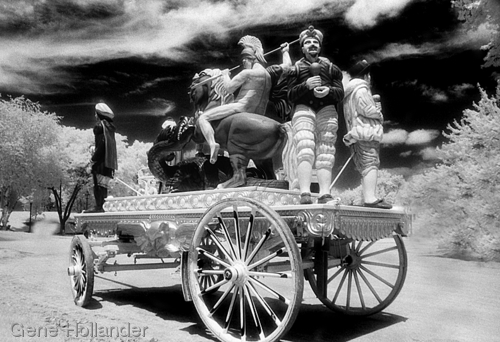 Photography-Great Circus Parade Wagon