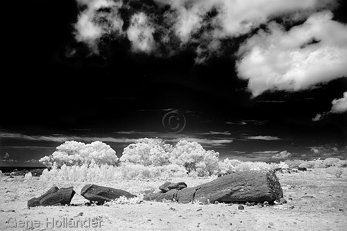 Photography-Landscape-Moai at the Quarry V, Easter Island