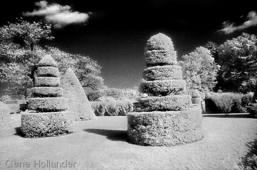 Photography-Landscape-Longwood Topiary No. 1