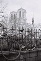 Cathedral%20and%20bicycle%20-%20Paris%20-%202011 (thumbnail)