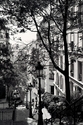 Flight%20of%20stairs%20going%20to%20the%20Sacre-Coeur%20-%20Montmartre%20-%20Paris%20 (thumbnail)