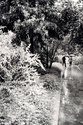 Love%20with%20umbrella%20-%20Paris%20-%202010 (thumbnail)
