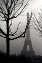 Eiffel%20Tower%20and%20tree%20-%20Paris%20 (thumbnail)