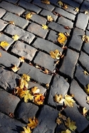 Leaves%20%26%20Paving%20Stones%20-%20P%C3%A8re-Lachaise%20-%20Paris (thumbnail)