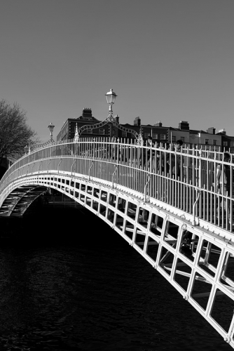 NEW  Dublin