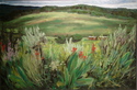 Colorado Landscape