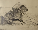 The Rodeo Horse