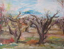 Oklahoma Peach Orchard