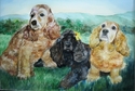 Spaniels