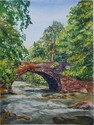 Summer Stream
