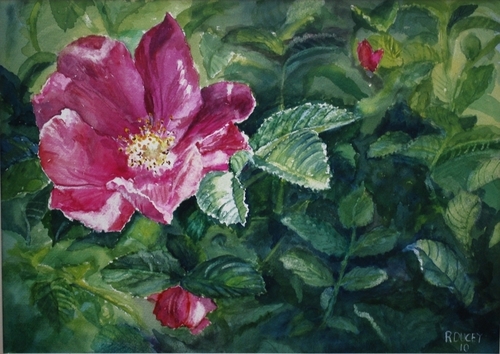 River Rose