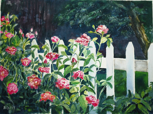 Roses in my Backyard