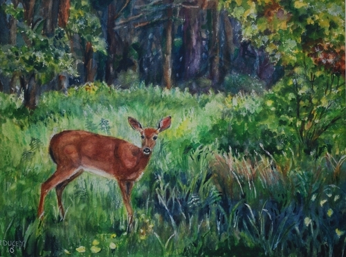 Woodland Deer