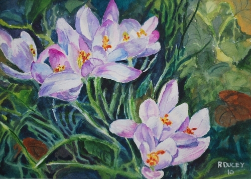 Morning Crocus