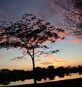 Sunset (thumbnail)