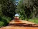 Red%20Clay%20Country%20Road (thumbnail)
