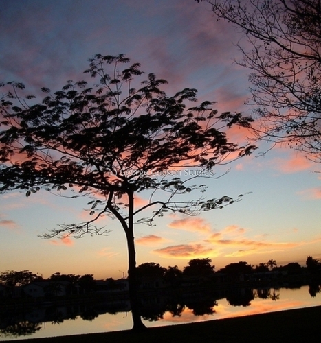 Sunset (large view)