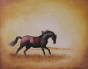 Free Spirit