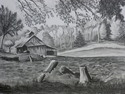 Barn in Woods