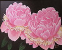 Peonies