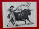 El Matador