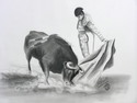 Toreador