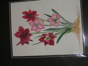 Amarillis