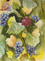 Grapes and Leaves