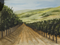 The Vineyard
