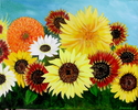 Sunflower Mix