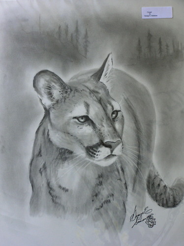 Cougar