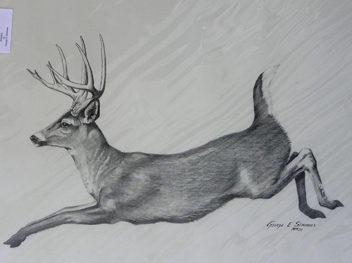 Jumping Whitetail Deer