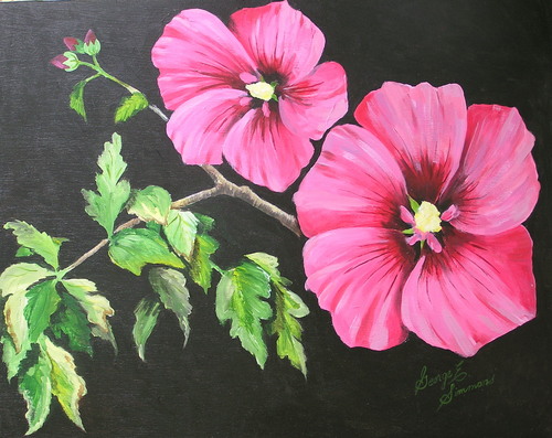 Rose of Sharon