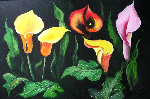 Callas
