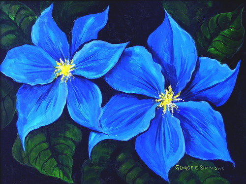 Blue Flowers