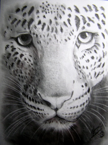 Leopard Head