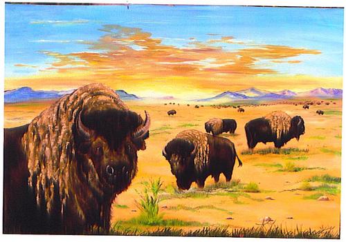 American Buffalo