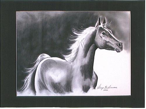 Ststely Stallion