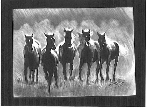 Jim's Horses