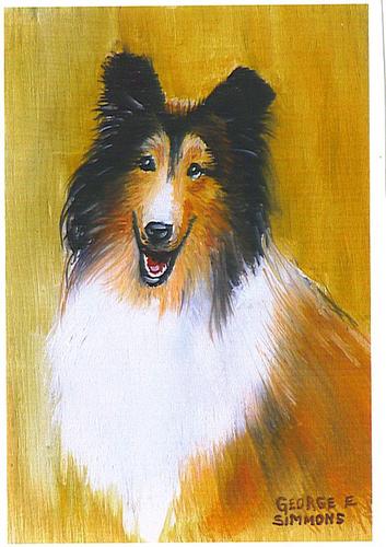 Collie