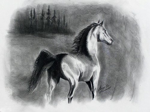 Pride of the Valley