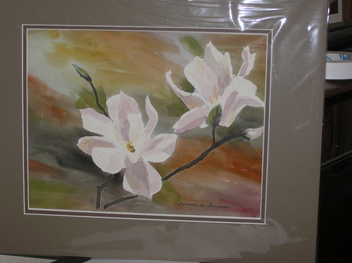 Magnolia Blossoms