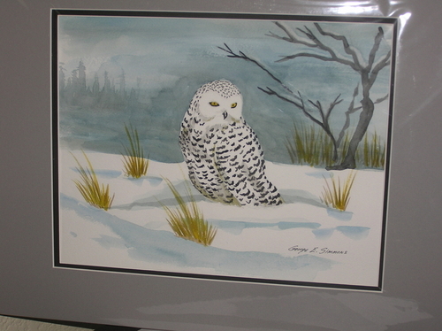 Snowy Owl