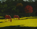 Sunny Pasture